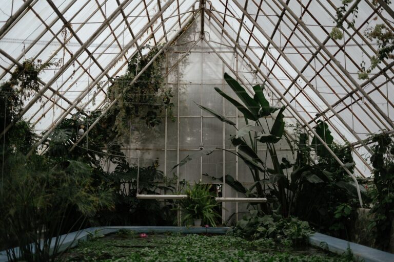 Jardin botanique de Nancy serres, — serre tropicale jardin botanique