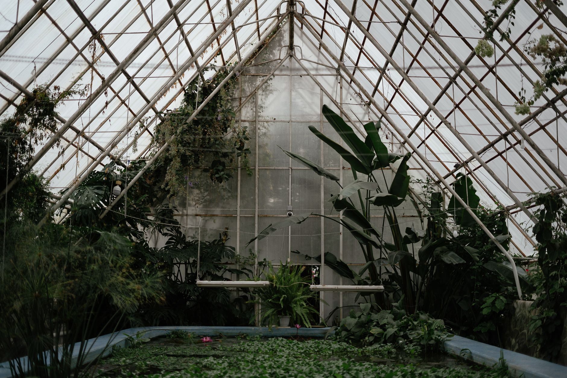 Jardin botanique de Nancy serres, — serre tropicale jardin botanique