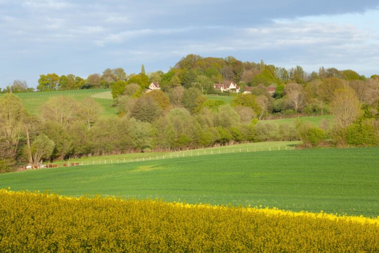 Tourouvre-au-Perche que voir dans ce — village pittoresque Tourouvre-au-Perche