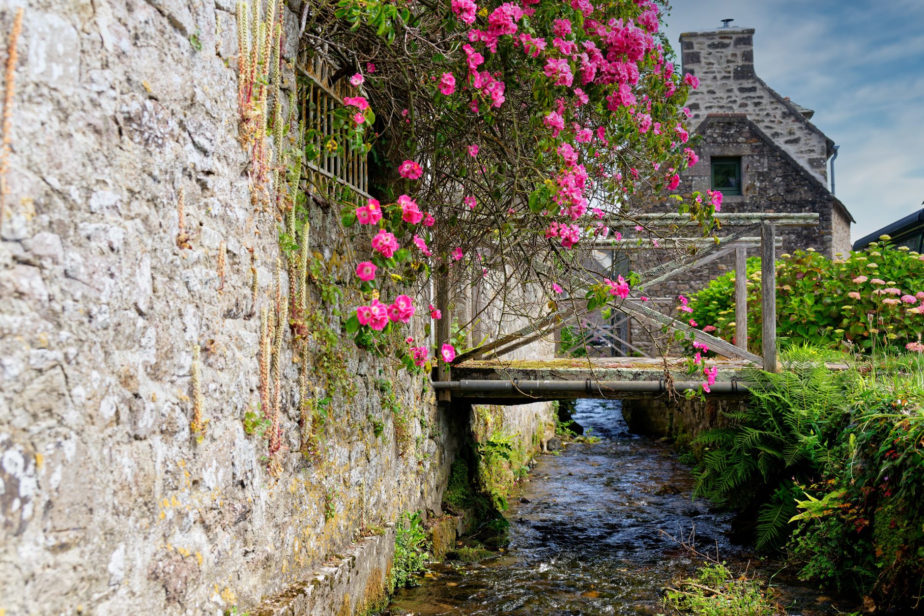 Gîtes de France en Normandie : comprendre le concept avant de choisir entre mer et campagne — gîte en Normandie avec fleurs