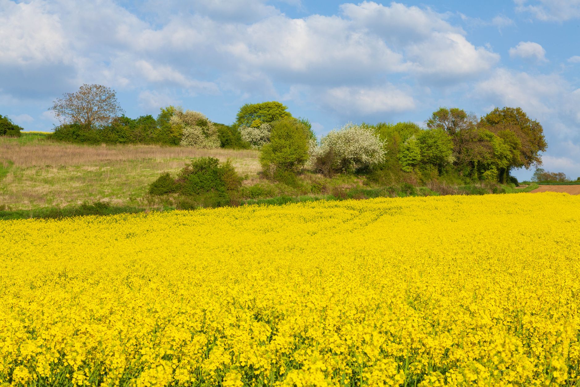 Gîtes de France en Normandie — gîte en Normandie avec fleurs