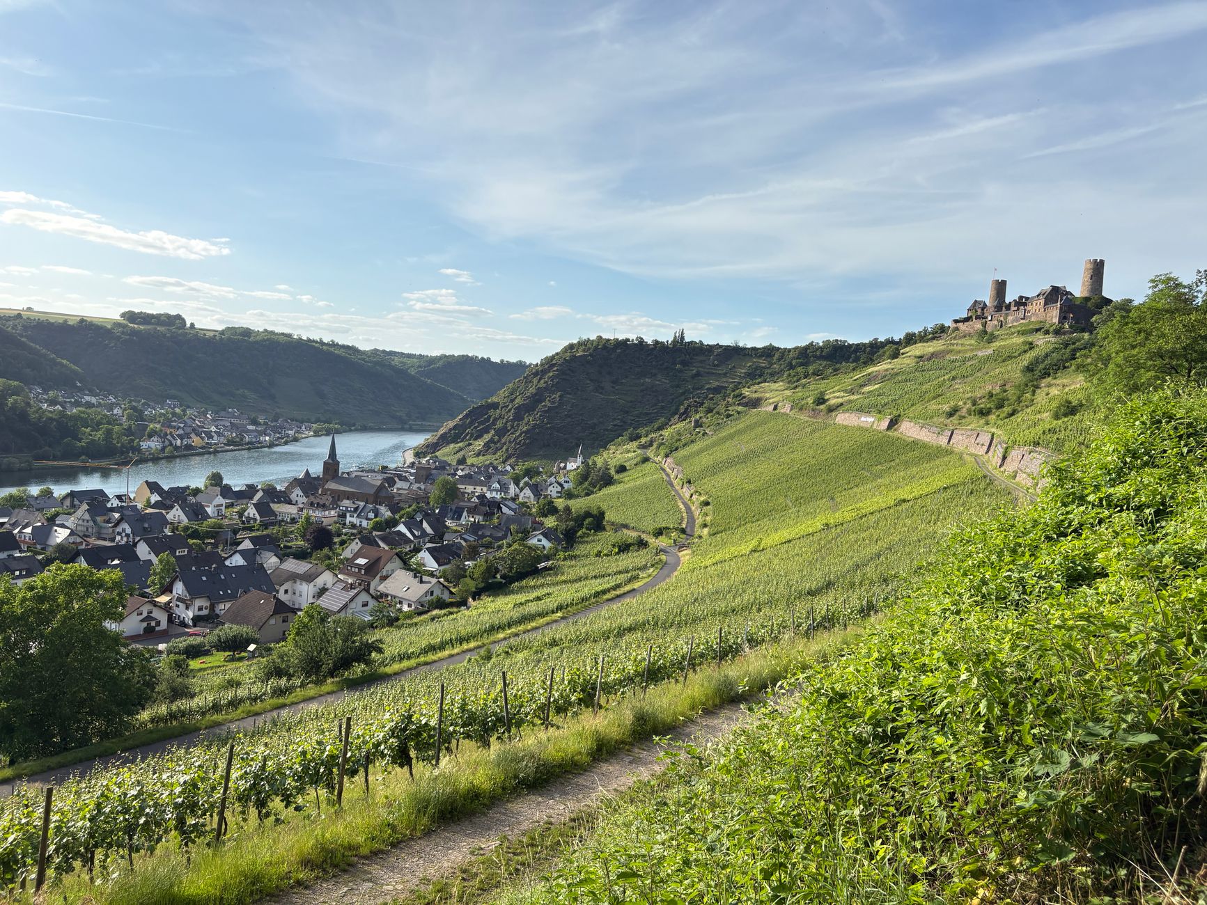 Comment aller au château d'Andlau — vue panoramique château d'Andlau sentier